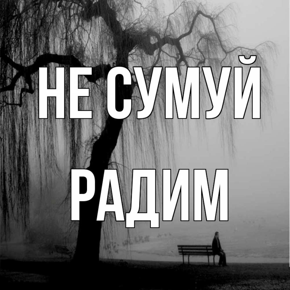 Открытка на каждый день з підписом, Радим Не сумуй висящие ветки дерева и лавочка под деревом Прикольна листівка з побажанням онлайн скачати безкоштовно 