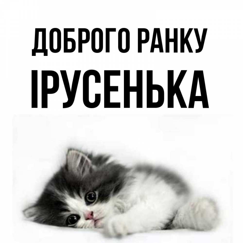 Открытка на каждый день з підписом, Ірусенька Доброго ранку кот лапки Прикольна листівка з побажанням онлайн скачати безкоштовно 