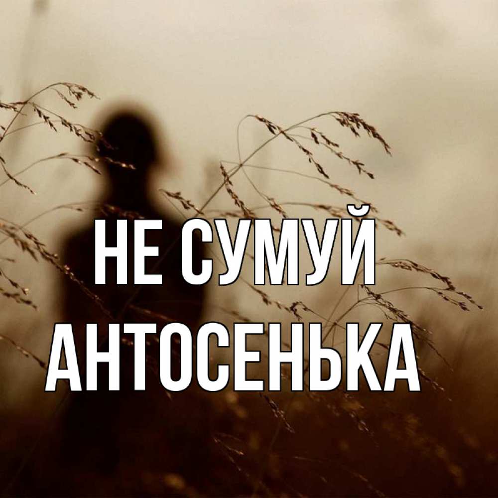 Открытка на каждый день з підписом, Антосенька Не сумуй грусть Прикольна листівка з побажанням онлайн скачати безкоштовно 