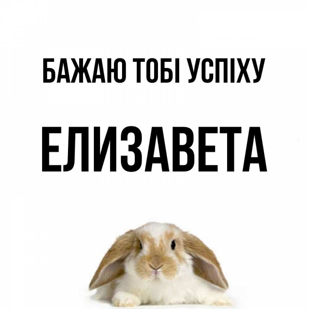 Открытка на каждый день з підписом, Елизавета Бажаю тобі успіху открытки с произвольным текстом который можно вставить в открытку и создать ее самостоятельно бесплатно онлайн Прикольна листівка з побажанням онлайн скачати безкоштовно 