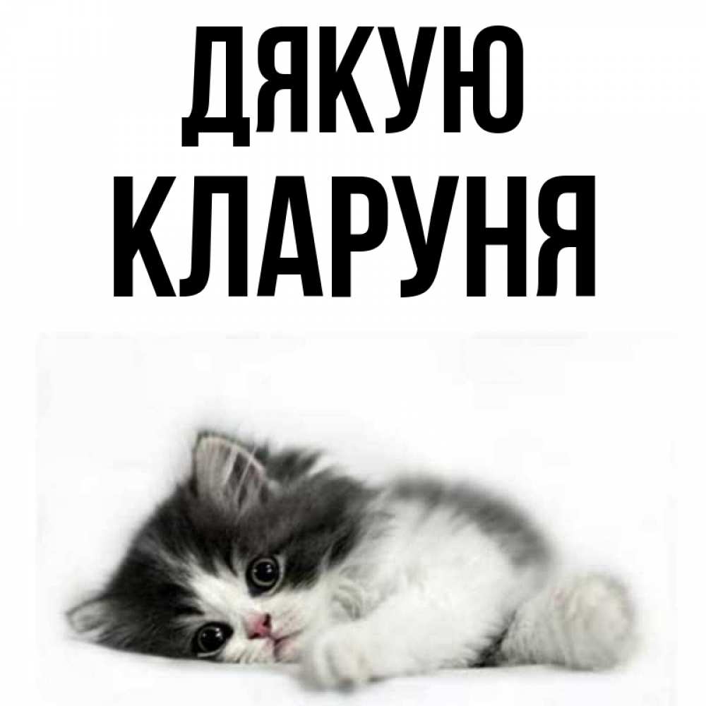 Открытка на каждый день з підписом, Кларуня Дякую черный и белый кот Прикольна листівка з побажанням онлайн скачати безкоштовно 