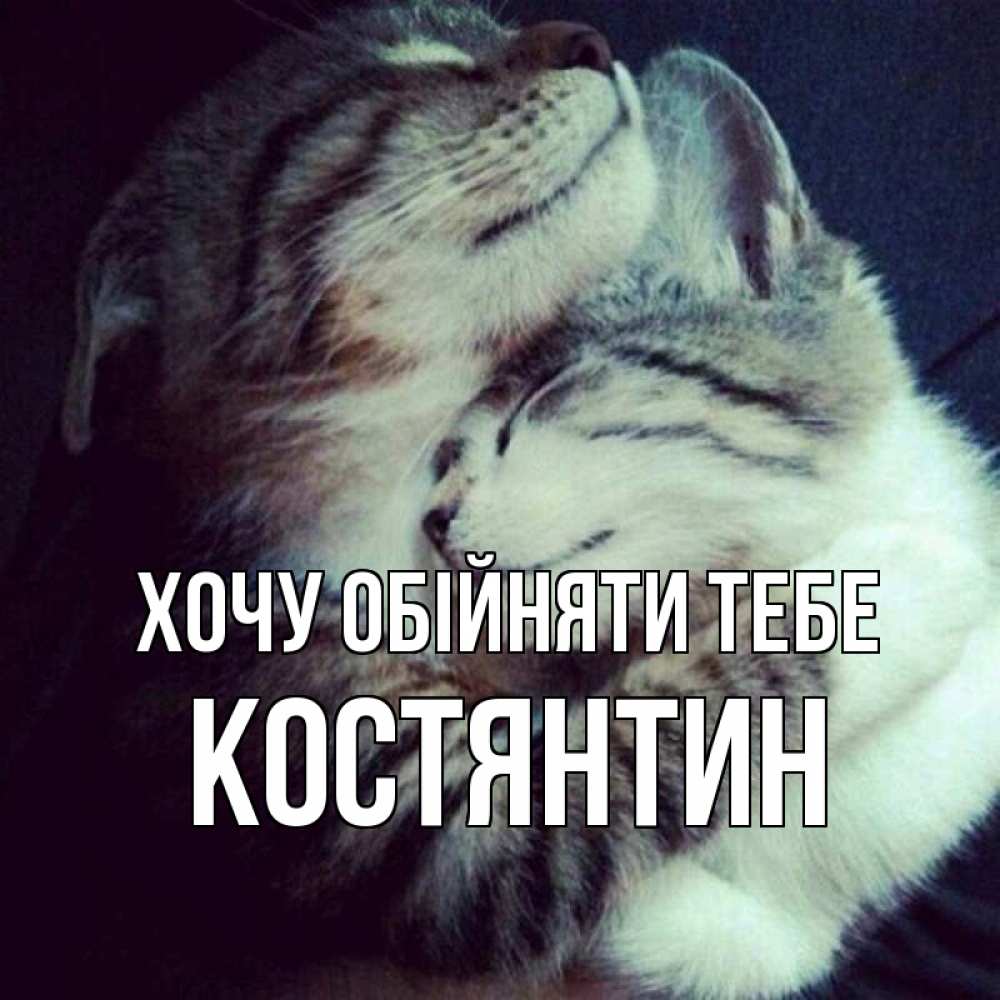 Открытка на каждый день з підписом, Костянтин Хочу обійняти тебе полосатики Прикольна листівка з побажанням онлайн скачати безкоштовно 