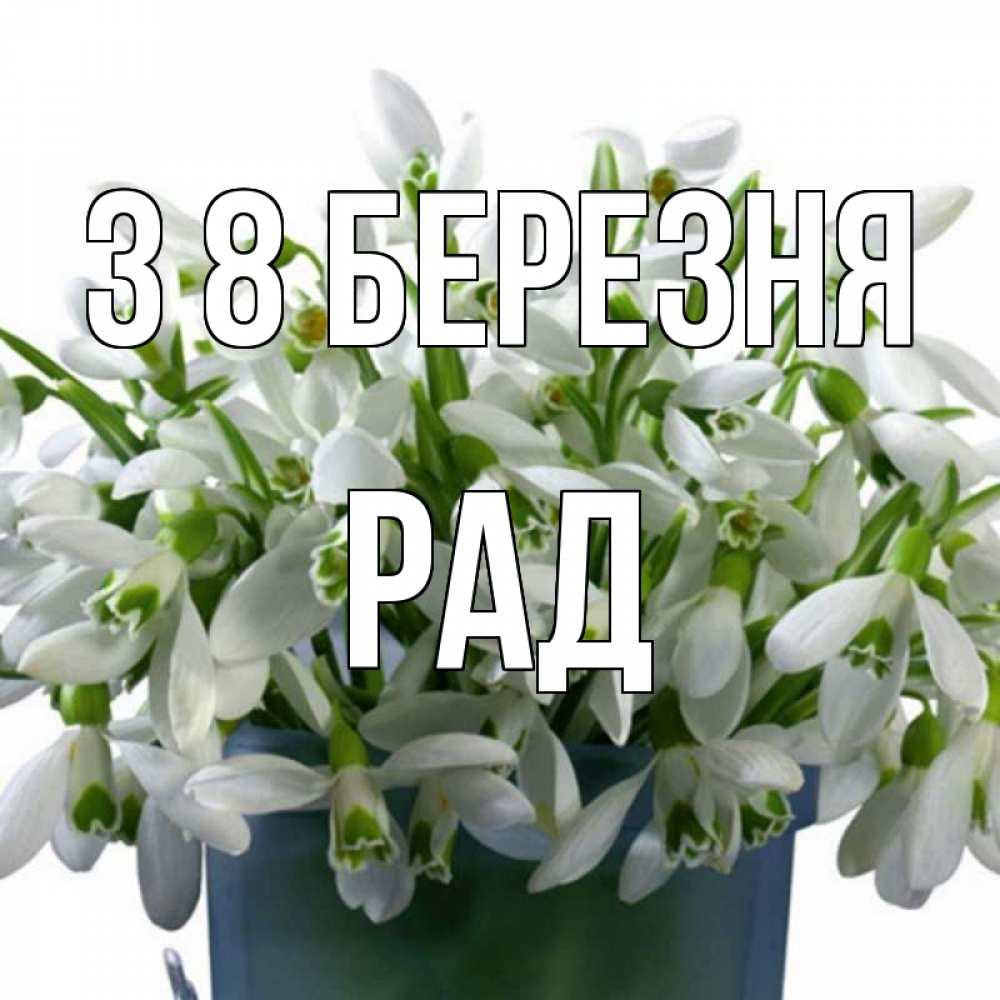 Открытка на каждый день з підписом, Рад З 8 БЕРЕЗНЯ цветы к международному женскому дню Прикольна листівка з побажанням онлайн скачати безкоштовно 