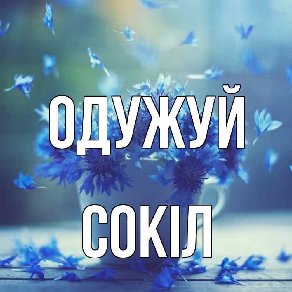 Открытка на каждый день з підписом, Сокіл Одужуй кружка с зельем и цветами Прикольна листівка з побажанням онлайн скачати безкоштовно 