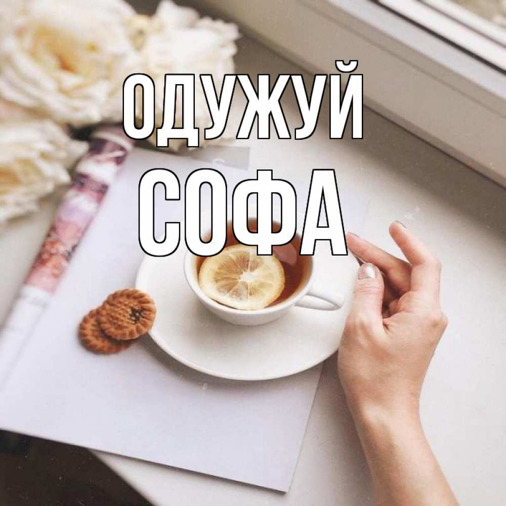 Открытка на каждый день з підписом, Софа Одужуй и печеньками Прикольна листівка з побажанням онлайн скачати безкоштовно 