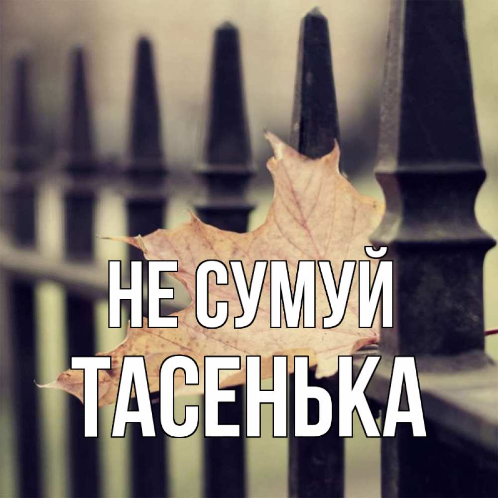 Открытка на каждый день з підписом, Тасенька Не сумуй лист клена Прикольна листівка з побажанням онлайн скачати безкоштовно 