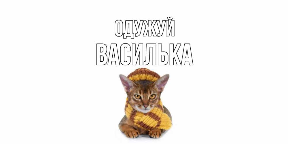 Открытка на каждый день з підписом, Василька Одужуй родные не болейте Прикольна листівка з побажанням онлайн скачати безкоштовно 