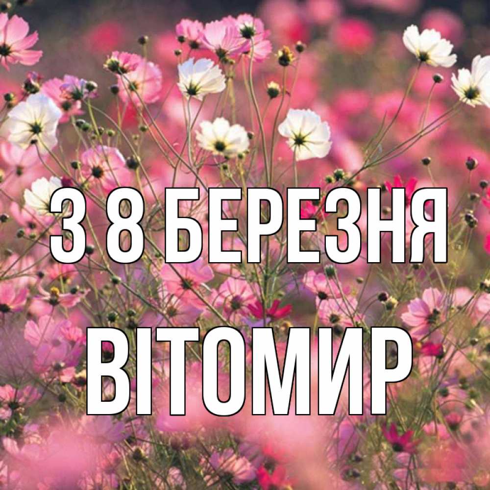 Открытка на каждый день з підписом, Вітомир З 8 БЕРЕЗНЯ красиво 1 Прикольна листівка з побажанням онлайн скачати безкоштовно 