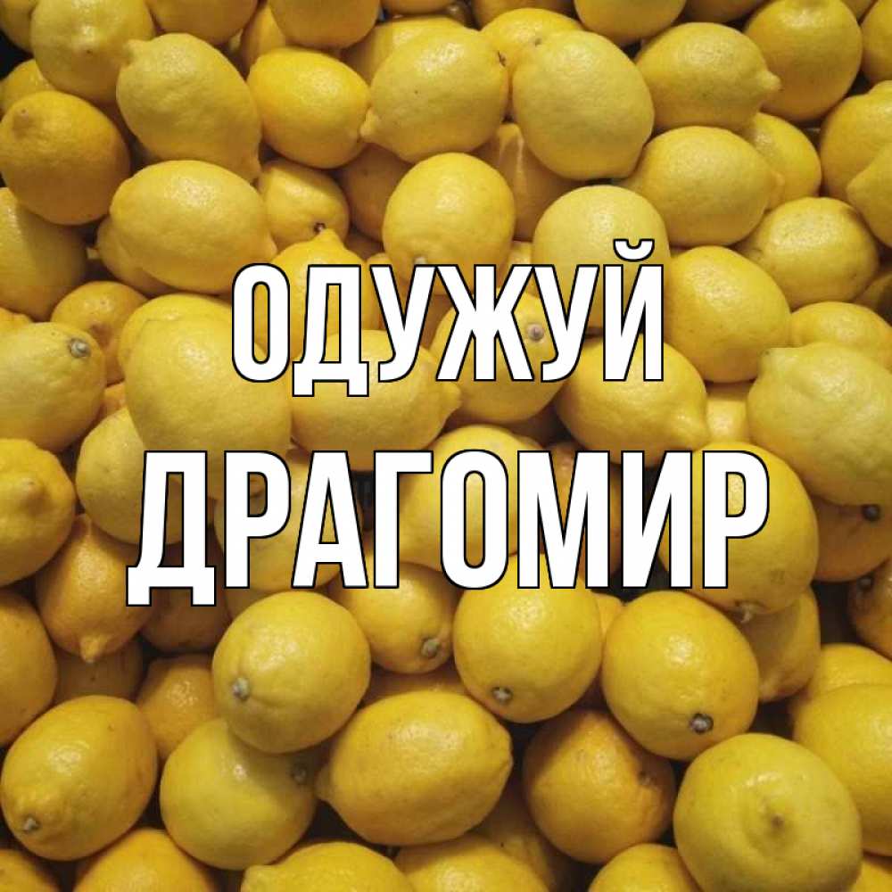 Открытка на каждый день з підписом, Драгомир Одужуй это точно поможет Прикольна листівка з побажанням онлайн скачати безкоштовно 