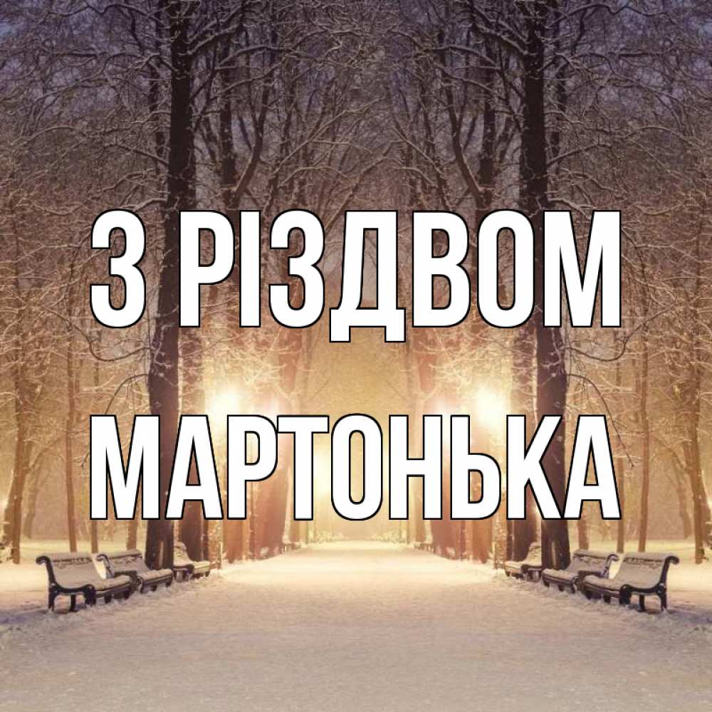 Открытка на каждый день з підписом, Мартонька З Різдвом зима, парк, фонарь, лес Прикольна листівка з побажанням онлайн скачати безкоштовно 