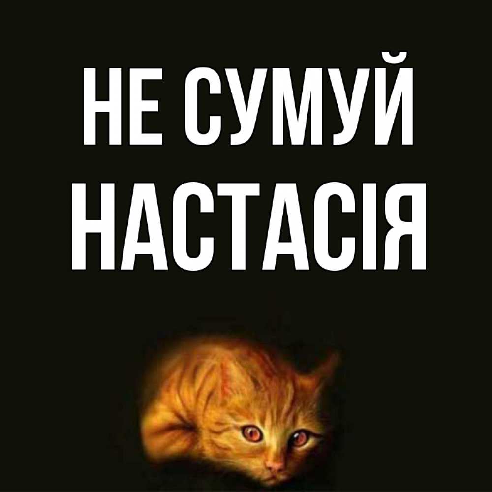 Открытка на каждый день з підписом, Настасія Не сумуй лежащий кот в темноте Прикольна листівка з побажанням онлайн скачати безкоштовно 