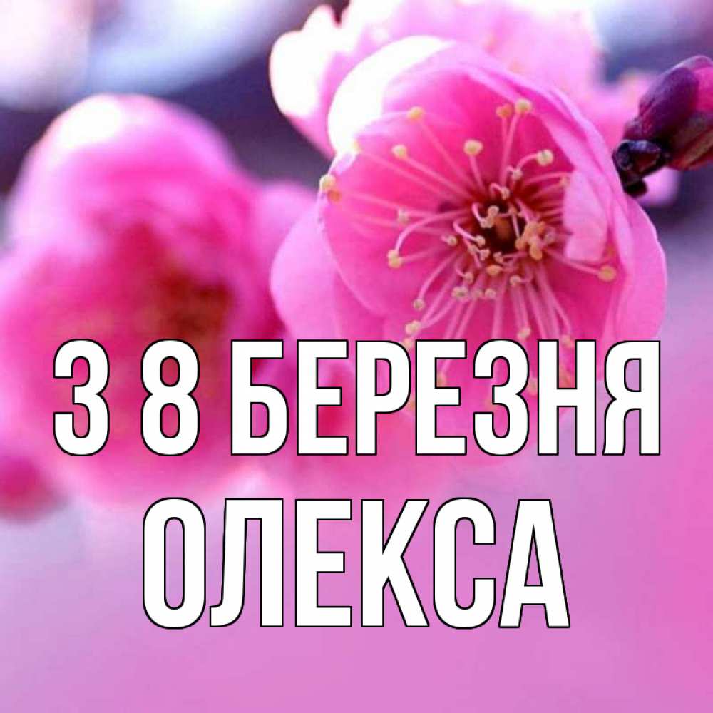 Открытка на каждый день з підписом, Олекса З 8 БЕРЕЗНЯ международный женский день Прикольна листівка з побажанням онлайн скачати безкоштовно 