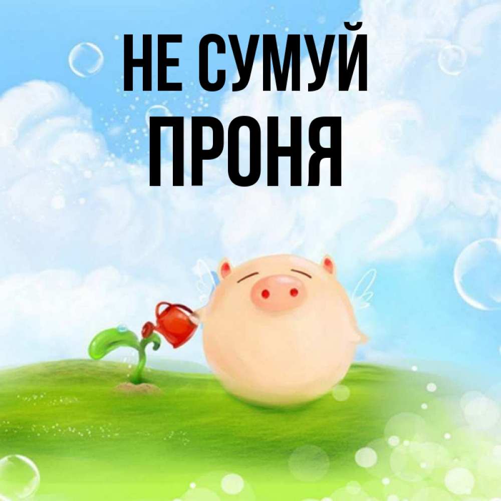Открытка на каждый день з підписом, Проня Не сумуй поливает цветок порося Прикольна листівка з побажанням онлайн скачати безкоштовно 
