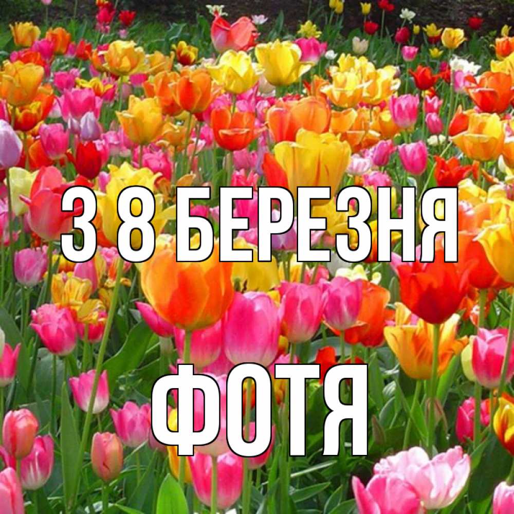 Открытка на каждый день з підписом, Фотя З 8 БЕРЕЗНЯ на международный женский день Прикольна листівка з побажанням онлайн скачати безкоштовно 