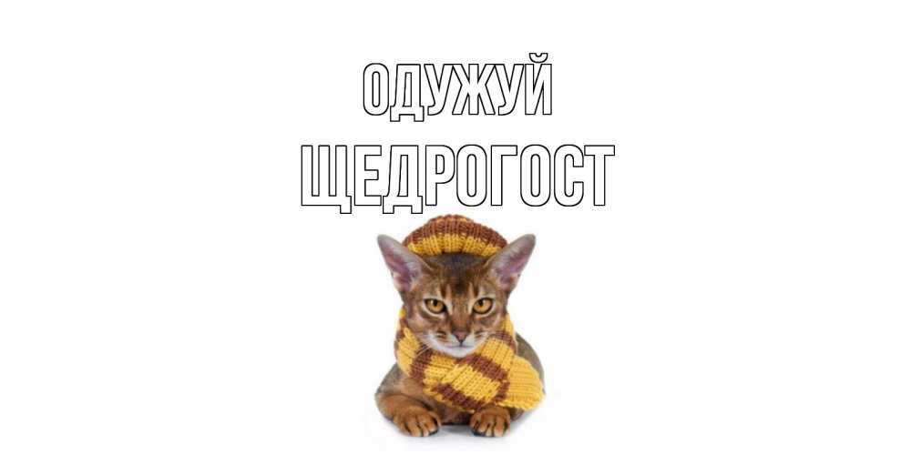Открытка на каждый день з підписом, Щедрогост Одужуй родные не болейте Прикольна листівка з побажанням онлайн скачати безкоштовно 