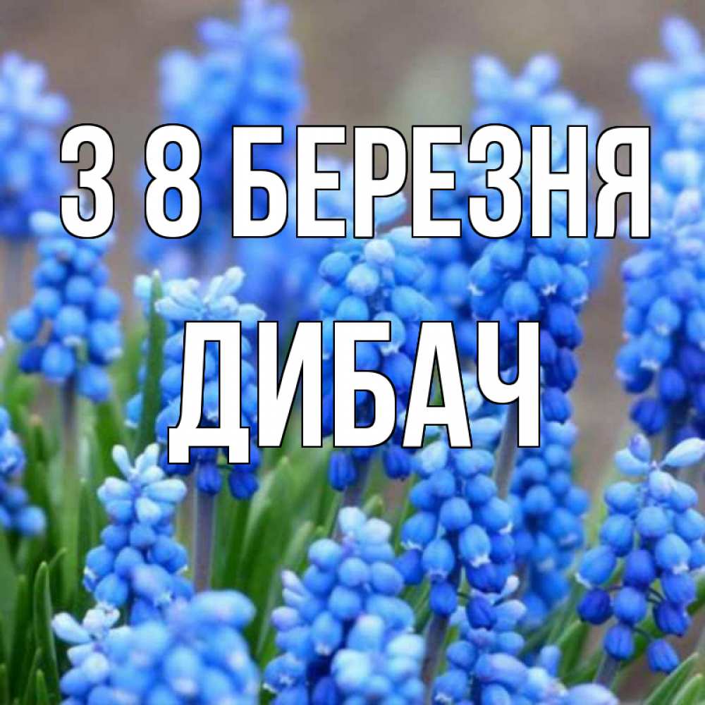 Открытка на каждый день з підписом, Дибач З 8 БЕРЕЗНЯ Поздравительная открытка для женщин с цветами на праздничную дату Прикольна листівка з побажанням онлайн скачати безкоштовно 