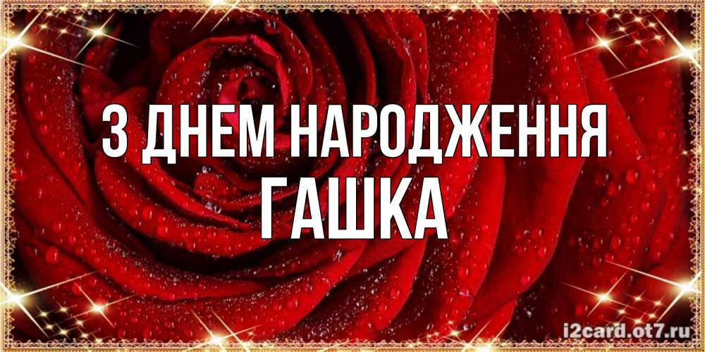 Открытка на каждый день з підписом, Гашка З Днем народження роса на розе блестящая в лучах солнца Прикольна листівка з побажанням онлайн скачати безкоштовно 
