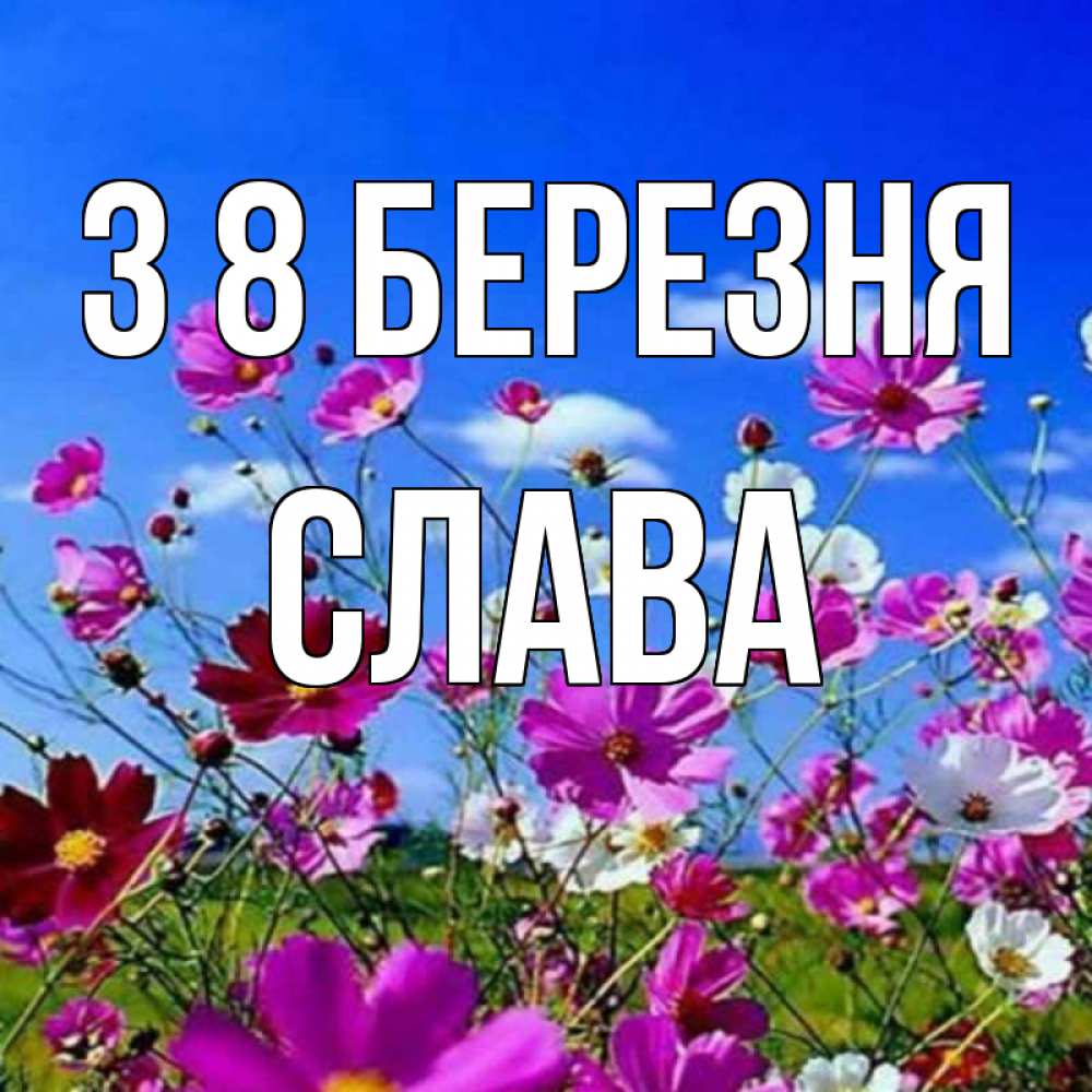 Открытка на каждый день з підписом, Слава З 8 БЕРЕЗНЯ цветы Прикольна листівка з побажанням онлайн скачати безкоштовно 