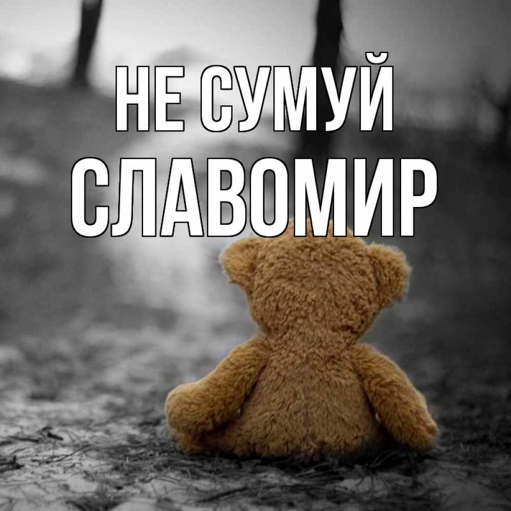 Открытка на каждый день з підписом, Славомир Не сумуй медведь со спин Прикольна листівка з побажанням онлайн скачати безкоштовно 