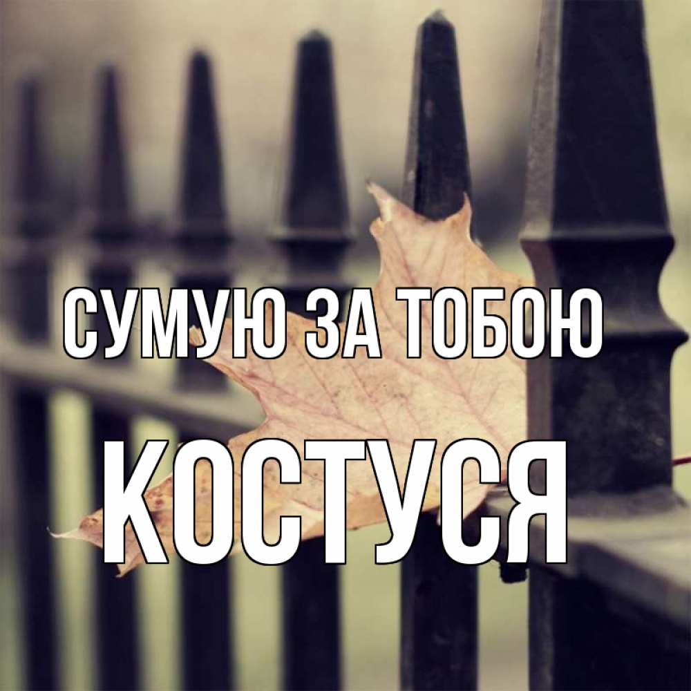 Открытка на каждый день з підписом, Костуся Сумую за тобою очень скучно Прикольна листівка з побажанням онлайн скачати безкоштовно 