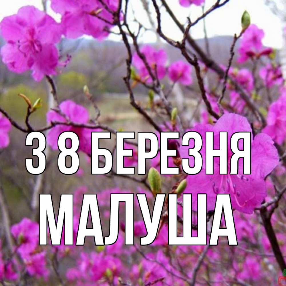 Открытка на каждый день з підписом, Малуша З 8 БЕРЕЗНЯ международный женский день Прикольна листівка з побажанням онлайн скачати безкоштовно 
