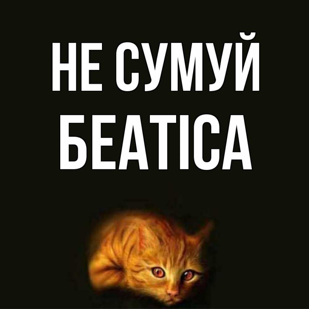 Открытка на каждый день з підписом, Беатіса Не сумуй лежащий кот в темноте Прикольна листівка з побажанням онлайн скачати безкоштовно 