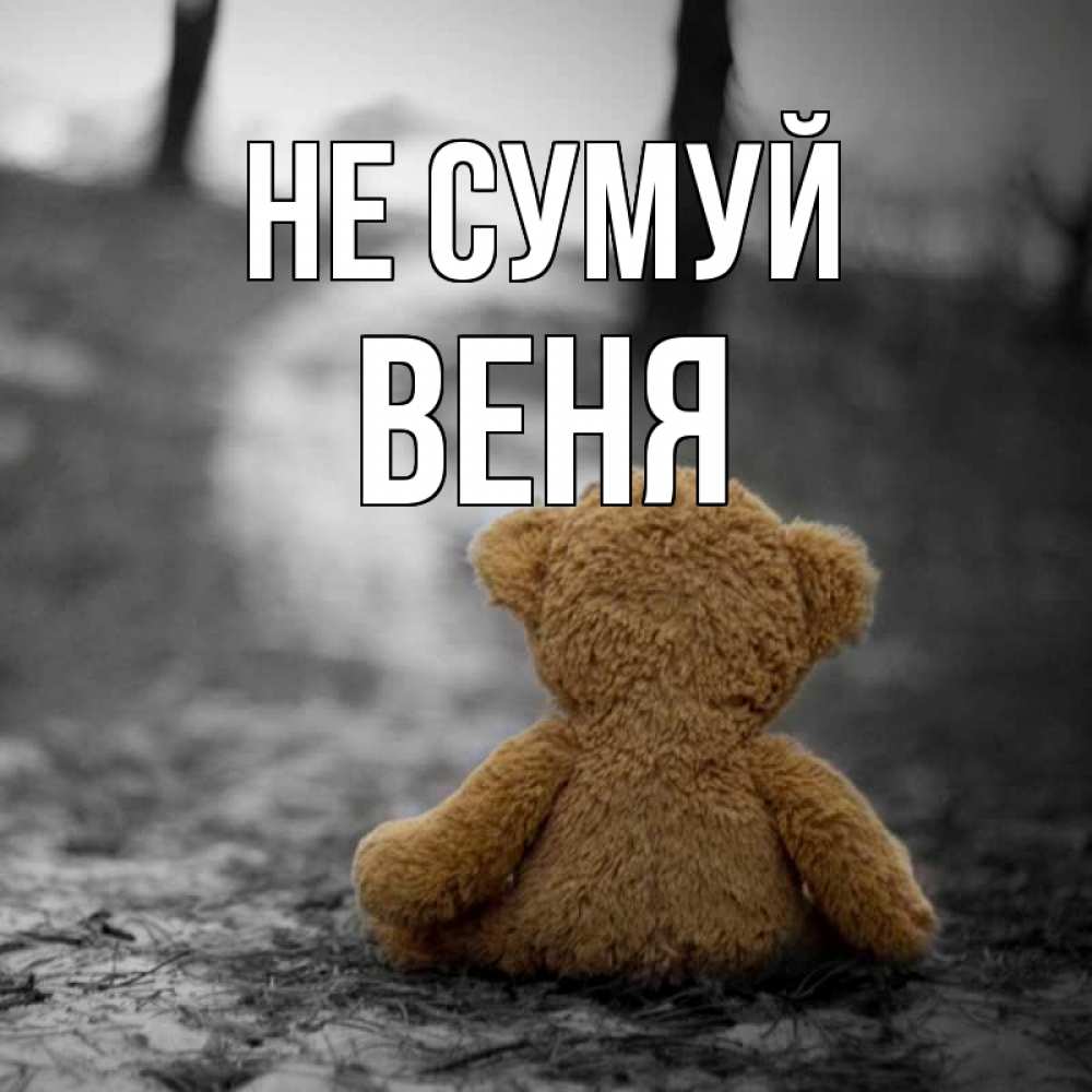Открытка на каждый день з підписом, Веня Не сумуй медведь со спин Прикольна листівка з побажанням онлайн скачати безкоштовно 