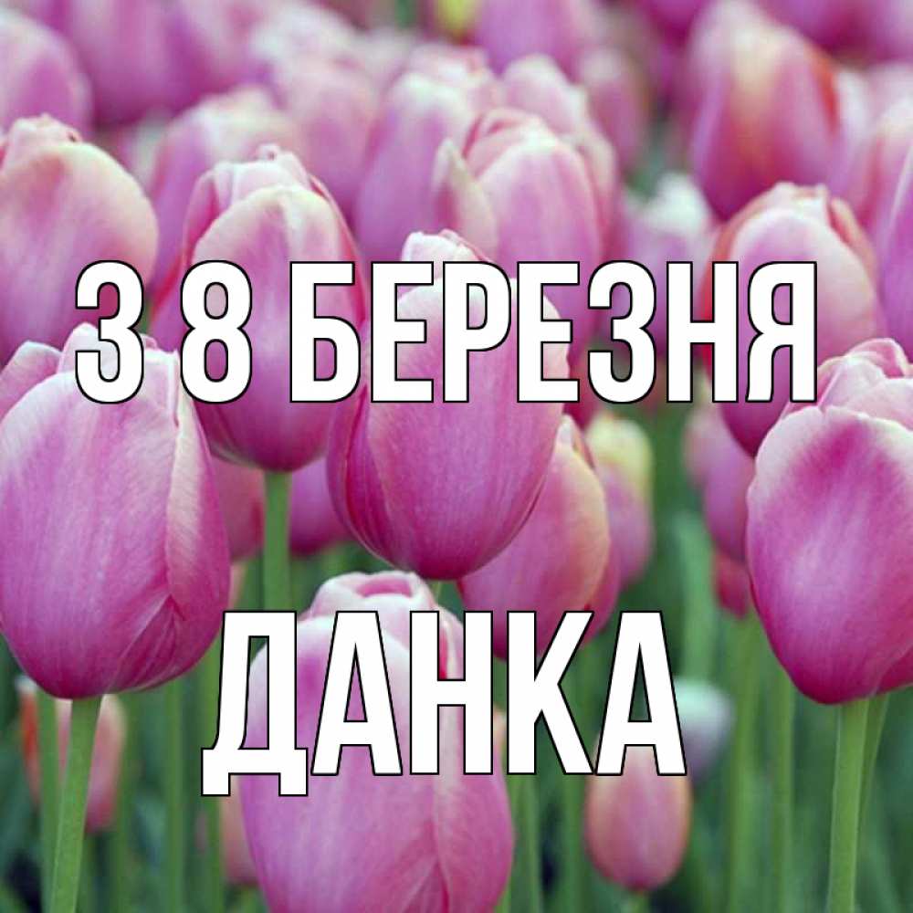 Открытка на каждый день з підписом, Данка З 8 БЕРЕЗНЯ на международный женский день 3 Прикольна листівка з побажанням онлайн скачати безкоштовно 