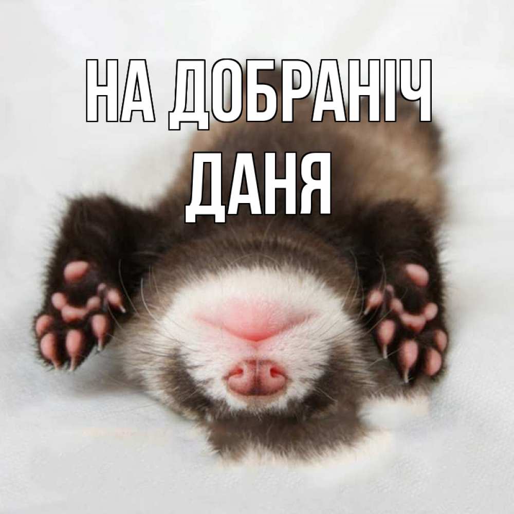 Открытка на каждый день з підписом, Даня На добраніч зверек Прикольна листівка з побажанням онлайн скачати безкоштовно 