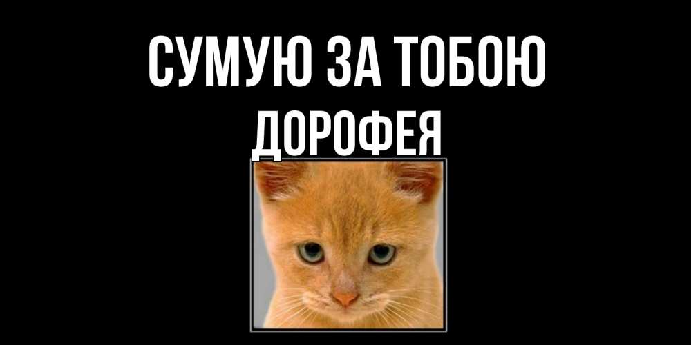 Открытка на каждый день з підписом, Дорофея Сумую за тобою открытки рыжий котенок скучает по тебе Прикольна листівка з побажанням онлайн скачати безкоштовно 