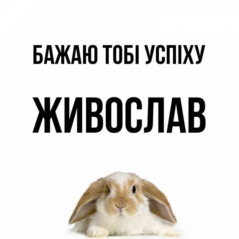 Открытка на каждый день з підписом, Живослав Бажаю тобі успіху открытки с произвольным текстом который можно вставить в открытку и создать ее самостоятельно бесплатно онлайн Прикольна листівка з побажанням онлайн скачати безкоштовно 