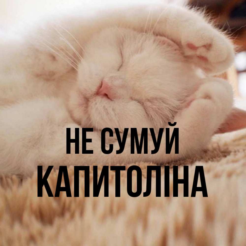 Открытка на каждый день з підписом, Капитоліна Не сумуй Котенок спит Прикольна листівка з побажанням онлайн скачати безкоштовно 