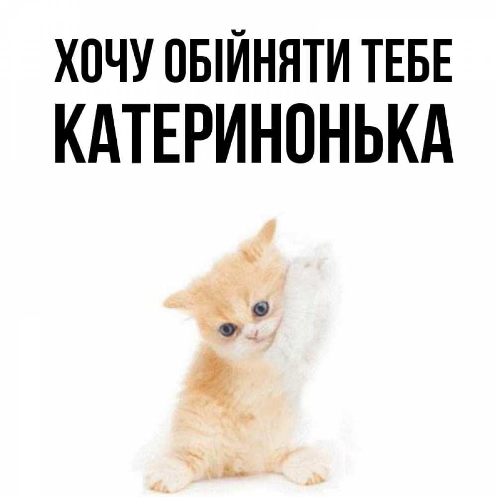Открытка на каждый день з підписом, Катеринонька Хочу обійняти тебе я хочу очень скорее обнимаешек Прикольна листівка з побажанням онлайн скачати безкоштовно 