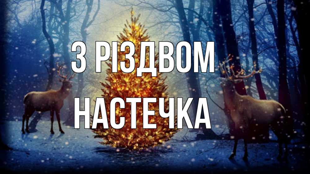 Открытка на каждый день з підписом, Настечка З Різдвом олени, новогодняя елка Прикольна листівка з побажанням онлайн скачати безкоштовно 