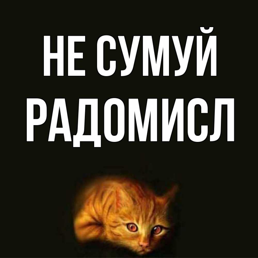 Открытка на каждый день з підписом, Радомисл Не сумуй лежащий кот в темноте Прикольна листівка з побажанням онлайн скачати безкоштовно 
