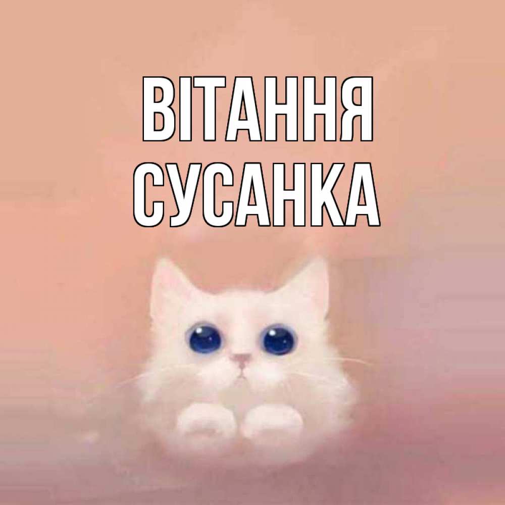 Открытка на каждый день з підписом, Сусанка Вітання котик белый в полете Прикольна листівка з побажанням онлайн скачати безкоштовно 