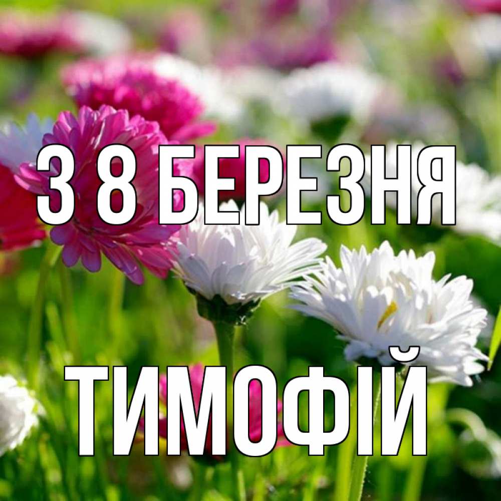 Открытка на каждый день з підписом, Тимофій З 8 БЕРЕЗНЯ международный женский день 1 Прикольна листівка з побажанням онлайн скачати безкоштовно 