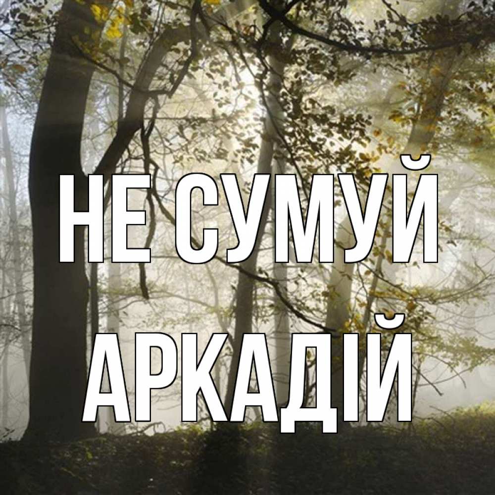 Открытка на каждый день з підписом, Аркадій Не сумуй лес и свет Прикольна листівка з побажанням онлайн скачати безкоштовно 