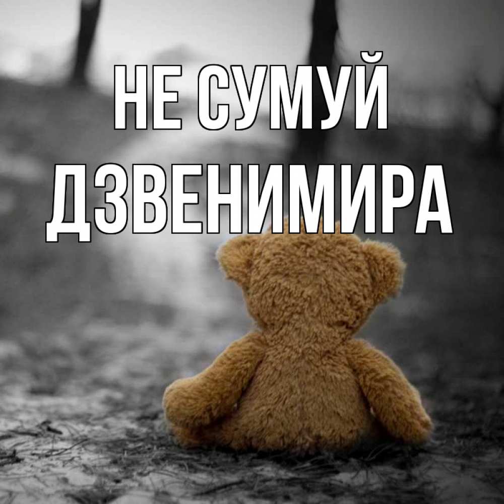 Открытка на каждый день з підписом, Дзвенимира Не сумуй медведь со спин Прикольна листівка з побажанням онлайн скачати безкоштовно 