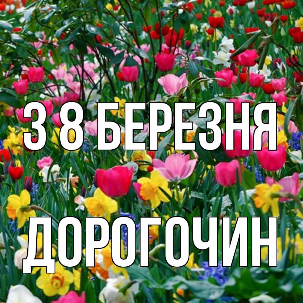 Открытка на каждый день з підписом, Дорогочин З 8 БЕРЕЗНЯ с международным женским днем поздравления для женщины Прикольна листівка з побажанням онлайн скачати безкоштовно 
