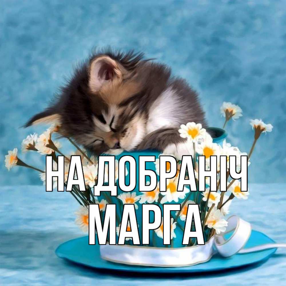 Открытка на каждый день з підписом, Марга На добраніч котенок спит в кружке с блюдцем Прикольна листівка з побажанням онлайн скачати безкоштовно 