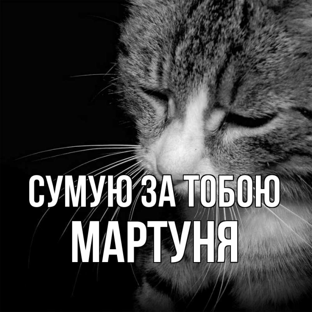 Открытка на каждый день з підписом, Мартуня Сумую за тобою мне скучно Прикольна листівка з побажанням онлайн скачати безкоштовно 