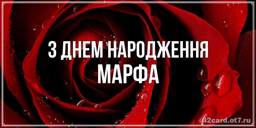 Открытка на каждый день з підписом, Марфа З Днем народження крупная бордовая роза Прикольна листівка з побажанням онлайн скачати безкоштовно 