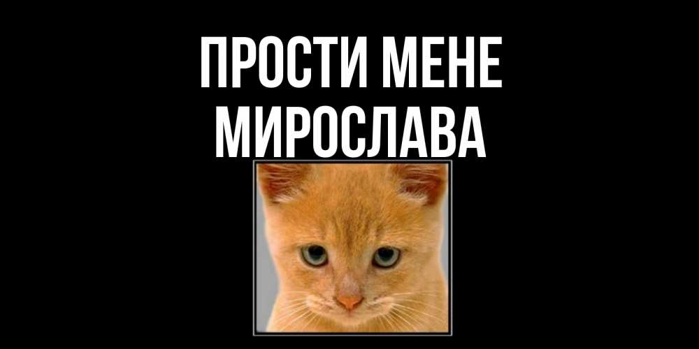 Открытка на каждый день з підписом, Мирослава Прости мене рыжий грустный кот просит прощения Прикольна листівка з побажанням онлайн скачати безкоштовно 