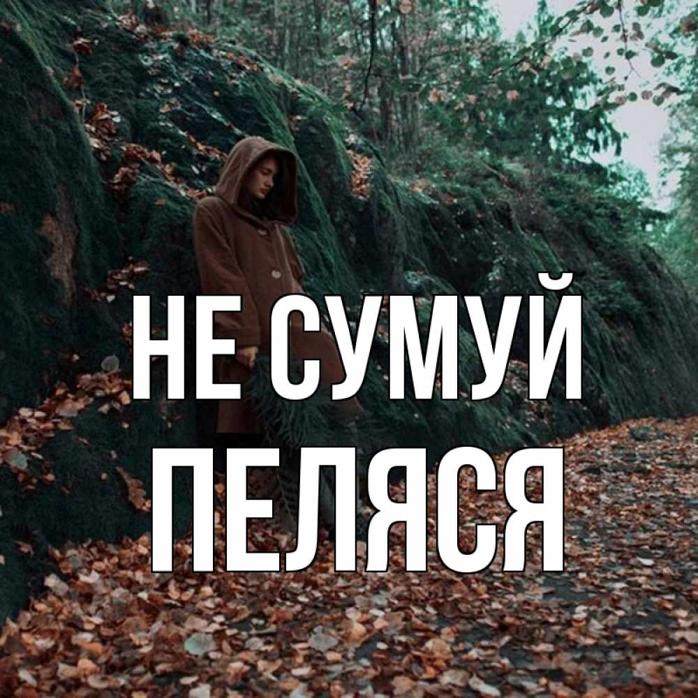 Открытка на каждый день з підписом, Пеляся Не сумуй осенний лес Прикольна листівка з побажанням онлайн скачати безкоштовно 