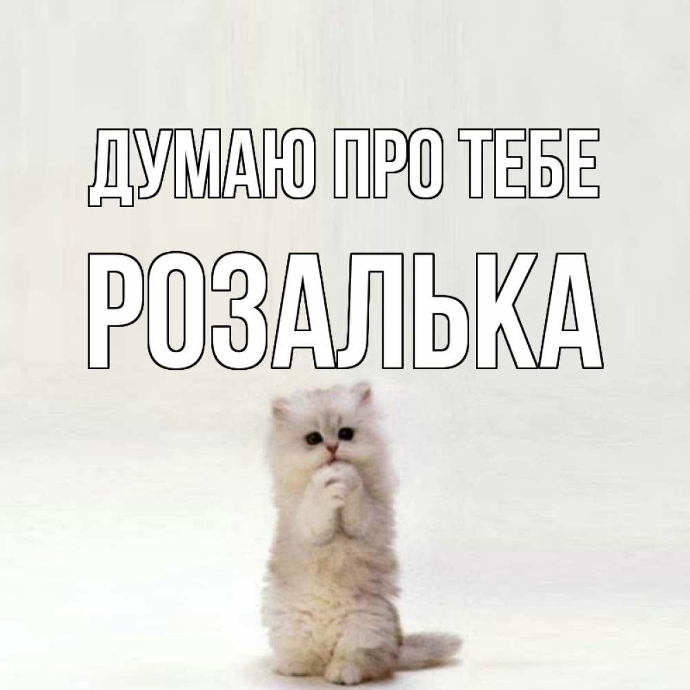 Открытка на каждый день з підписом, Розалька Думаю про тебе кот стоит на задних лапах Прикольна листівка з побажанням онлайн скачати безкоштовно 