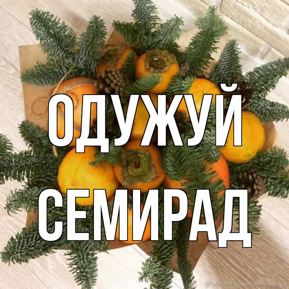 Открытка на каждый день з підписом, Семирад Одужуй апельсины и хурьма Прикольна листівка з побажанням онлайн скачати безкоштовно 