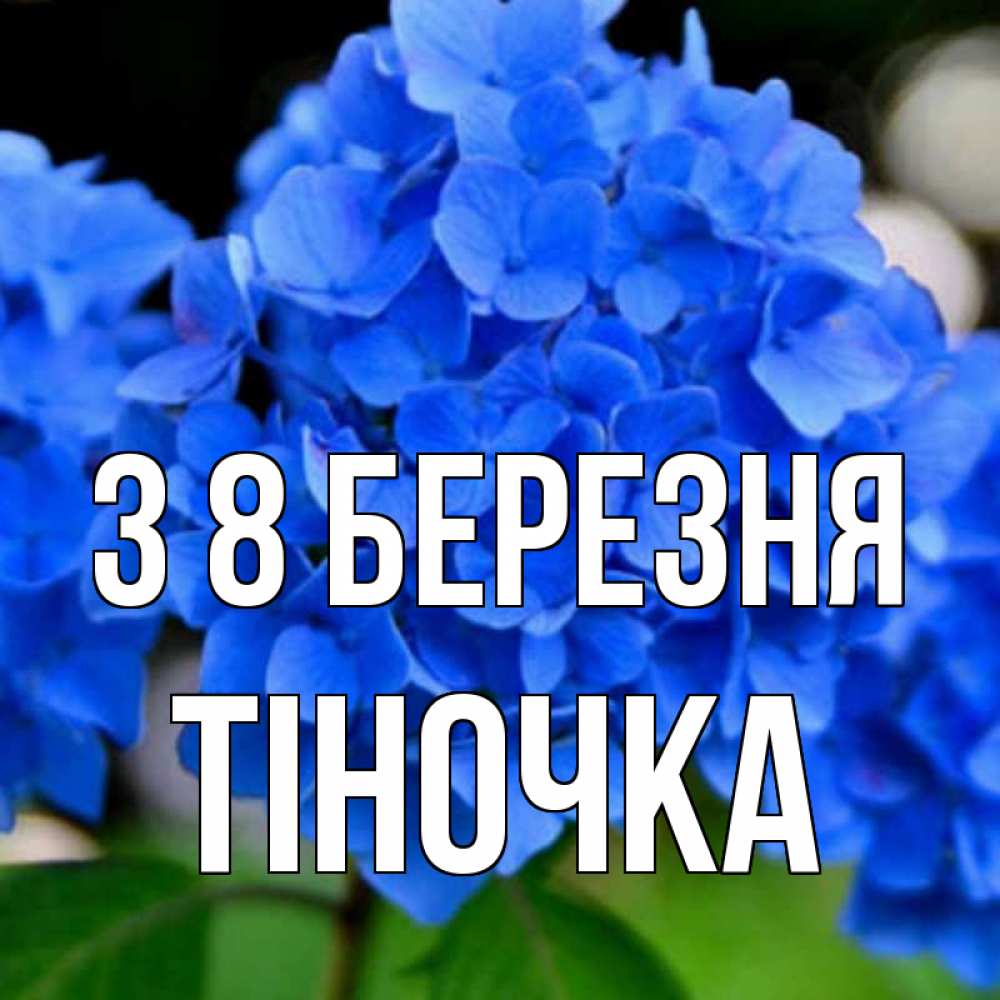 Открытка на каждый день з підписом, Тіночка З 8 БЕРЕЗНЯ синие цветы Прикольна листівка з побажанням онлайн скачати безкоштовно 