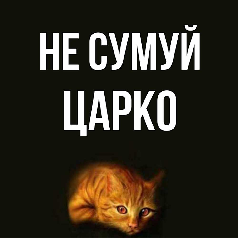 Открытка на каждый день з підписом, Царко Не сумуй лежащий кот в темноте Прикольна листівка з побажанням онлайн скачати безкоштовно 