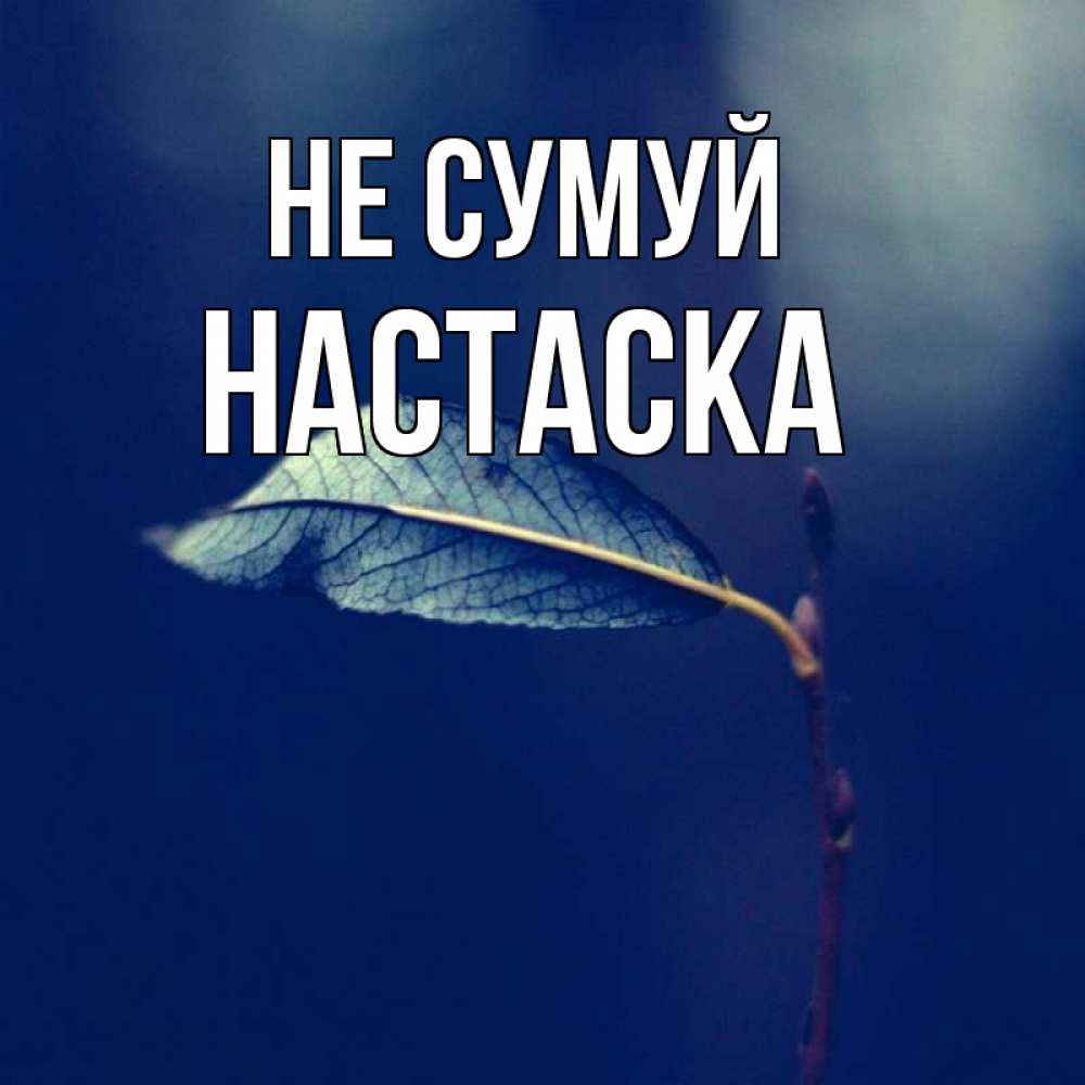 Открытка на каждый день з підписом, Настаска Не сумуй растение Прикольна листівка з побажанням онлайн скачати безкоштовно 